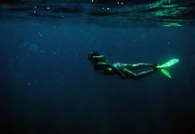 Freedive Jadi Aktivitas untuk Membantu Menenangkan Pikiran