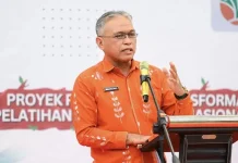 Viral Bantuan Bibit Sawit di tengah Karhutla, Ini Penjelasan Disbunnak Sulteng