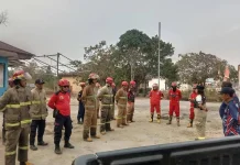 Pemerintah Kabupaten Poso Tingkatkan Penanganan Karhutla di Sejumlah Wilayah