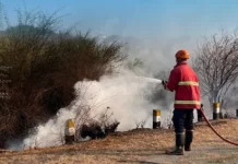 Respon Cepat Polsek Tawaeli bersama Damkar Padamkan Kebakaran Lahan di Mamboro