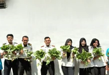 LPKA Palu Panen Sayuran Sawi Hasil Pemanfaatan Lahan Terbatas