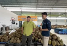 Pasar Tiongkok Terbuka, PT Pondok Durian Sulawesi Targetkan Ekspor Mandiri