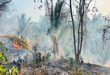 Tiga Kecamatan di Parimo Dilanda Bencana Banjir dan Karhutla