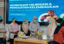 Pelaku Usaha Pangan Palu Ikuti Praktik Olah Cabai dan Bawang