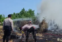 Lahan Eks PLTU Panau Terbakar, Polsek Tawaeli bersama Damkar Turun Tangan