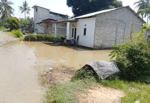 Banjir di Tomoli Utara, Tanggul Jebol dan Jalan Trans Sulawesi Tertutup Lumpur