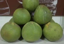Jeruk Bali, Segarkan Tubuh dengan Kandungan Vitamin