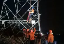 Tim SAR Gabungan Berhasil Evakuasi Remaja Panjat Tower PLN Silae