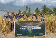 Warga Binaan Produktif, Lapas Perempuan Palu Panen 1 Ton Jagung
