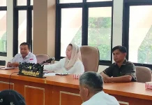 Seminar Akhir IKD, Wawali Palu: BPBD Tidak Bisa Bekerja Sendiri