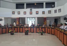 DPRD Palu Dorong DLH dan PLN Berkoordinasi dalam Pemangkasan Pohon