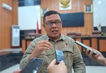 DLH Kota Palu Sediakan Layanan Khusus Laporan Penebangan Pohon