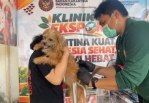Barantin Sulteng Cegah Rabies melalui Vaksinasi Hewan Peliharaan