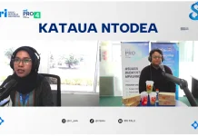 Belajar dari Kegagalan, Dimsum Tusuk Fahry Kini Punya Dua Cabang