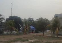 Dampak Karhutla, Kualitas Udara Kota Palu Sangat Buruk PM2.5 Mencapai 206 µgram/m3