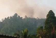 Kabut Asap Karhutla Kiriman Serbu Sulawesi Tengah