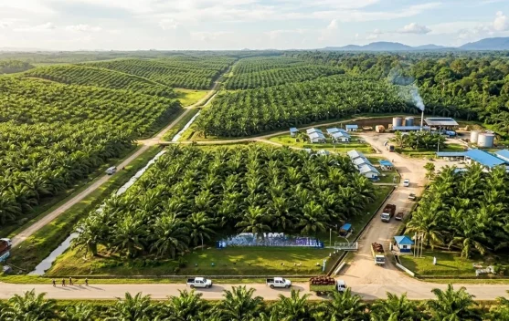 PT ANA Tegaskan Komitmen pada HAM dan Kepatuhan Hukum