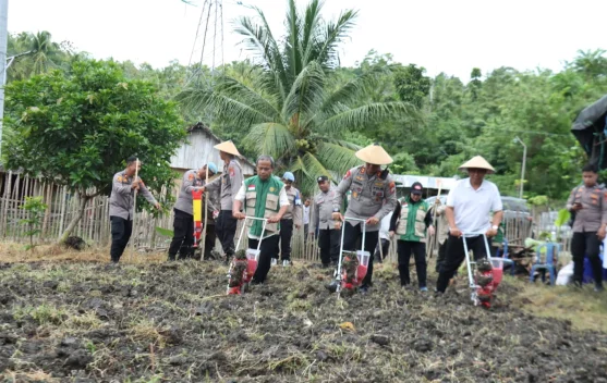 Polres Donggala Tanam Jagung Kuartal I 2026 Serentak Nasional