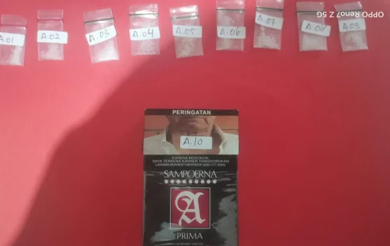 Satresnarkoba Polresta Palu Bekuk Pengedar Sabu