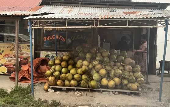 Kelapa Muda, Pilihan Berbuka saat Ramadan