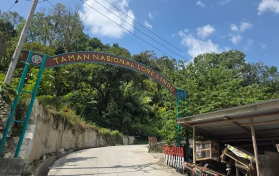 Menyapa Alam Liar di Taman Nasional Lore Lindu, Jauh dari Hiruk Pikuk Kota