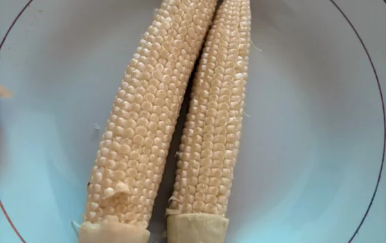 Jagung Muda, Kecil namun Bergizi
