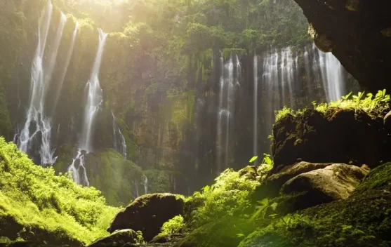 Air Terjun Wera, Pesona Alam yang Menyejukkan di Kaki Pegunungan Sigi