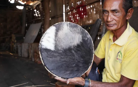 Gendang Tradisional, Alat Musik Unik Masyarakat Pulau Papan