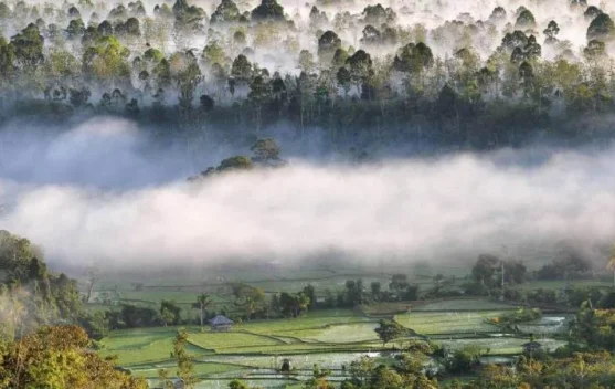 Cagar Alam Morowali, Tempat Indah untuk Jiwa Petualang