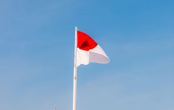Fatmawati dan Jahitan Merah Putih yang Menjadi Sejarah Indonesia