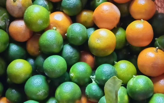 Tak Sekadar Pelengkap Masakan, Lemon Cui Miliki Beragam Manfaat