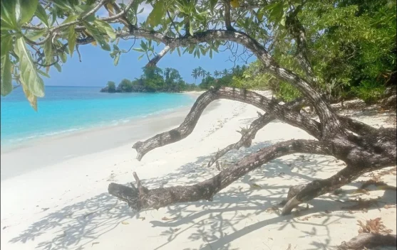 Pantai Oyama Tawarkan Pesona Bahari Banggai Laut