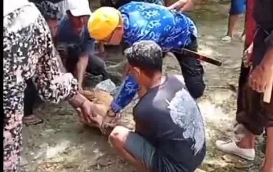 Ritual Mora’a Binangga Paneki Jadi Sarana Pulihkan Hubungan Sosial