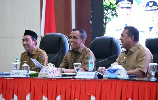 Gubernur Minta Camat dan Kades Petakan Wilayah Belum Teraliri Listrik