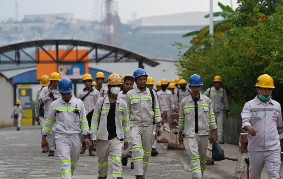 Serap 98.266 Tenaga Kerja, Kehadiran IMIP Turunkan Angka Pengangguran di Sulteng