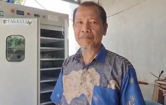 Miliki Potensi Pangan, Tanaman Kelor Diolah jadi Produk Bernilai Ekonomi Tinggi