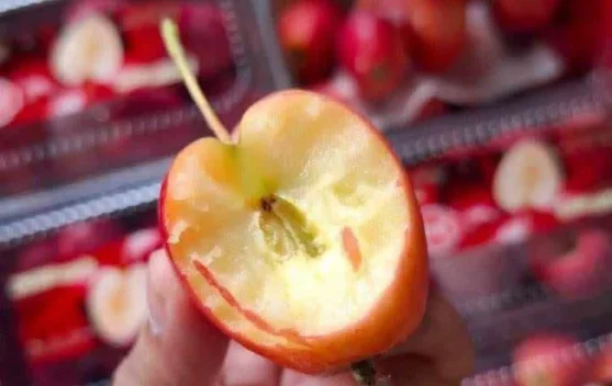 Cherry Apel, Buah Unik dengan Cita Rasa Menarik