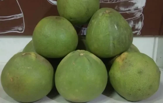 Jeruk Bali, Segarkan Tubuh dengan Kandungan Vitamin