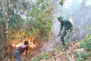 Kodam XXIII/Palaka Wira Bantu Padamkan Karhutla di Donggala