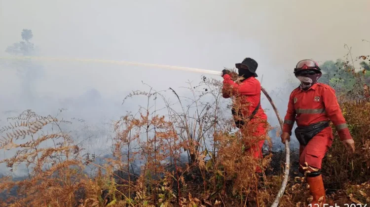 Manggala Agni Riau padamkan 12 titik