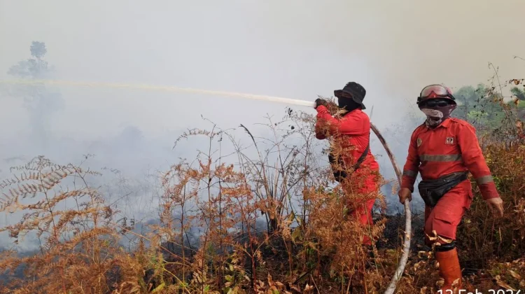 Karhutla masih melanda sejumlah wilayah Riau