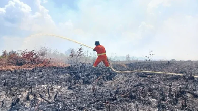 DPRD Riau Serukan Kewaspadaan Karhutla di Musim Kemarau