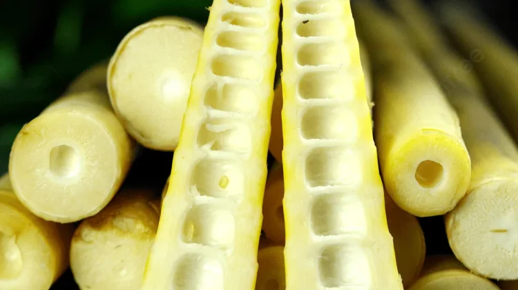 Rebung Tunas Muda Bambu Kaya Serat dan Rendah Kalori