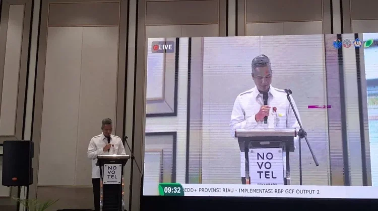 Riau dukung rencana aksi REDD+ yurisdiksi