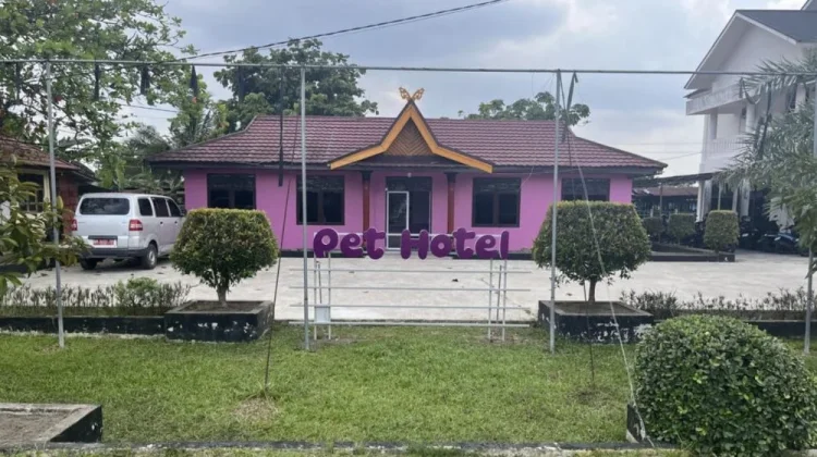 Dinas PKH Riau Resmikan Pet Hotel Kucing
