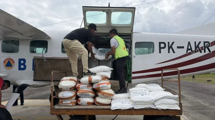 Kemenhut Perkuat Antisipasi Karhutla, Siapkan Helikopter dan Modifikasi Cuaca