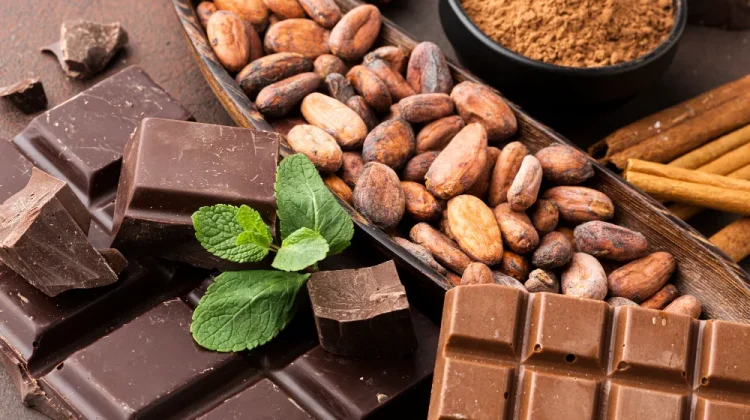 Sejarah Cokelat dari Peradaban Kuno hingga Modern