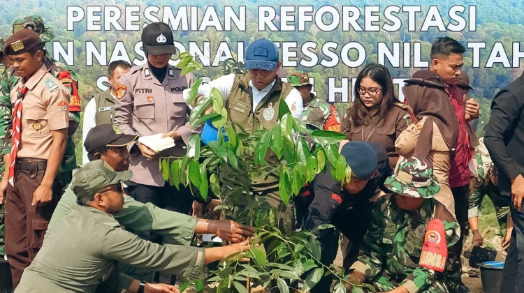 Pulihkan TNTN, Pemerintah Luncurkan Reforestasi Seluas 400 Hektar