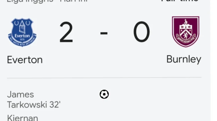 Everton dan Sunderland Menang di Pekan 29