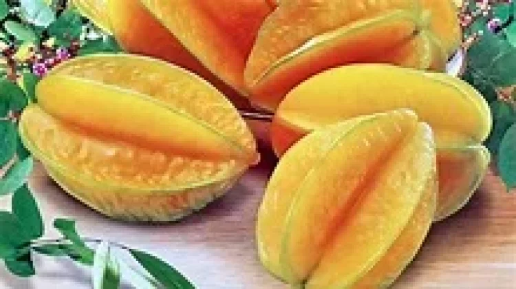 Manfaat Belimbing yang Penting untuk Kesehatan Tubuh